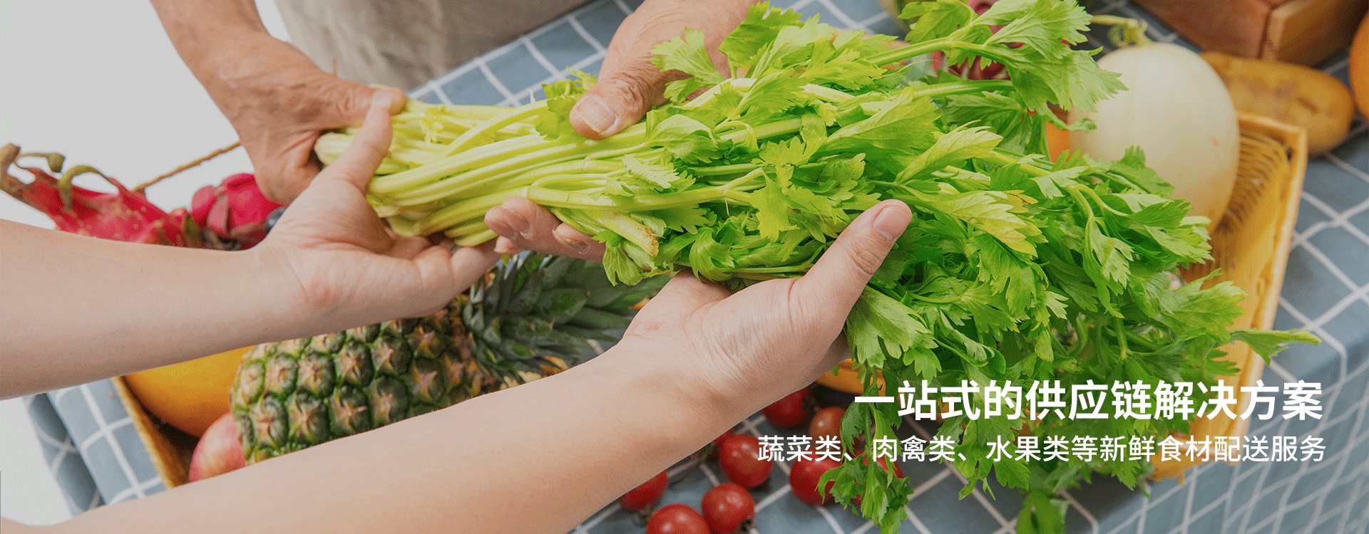 章魚鮮生（廈門）食品供應(yīng)鏈有限公司